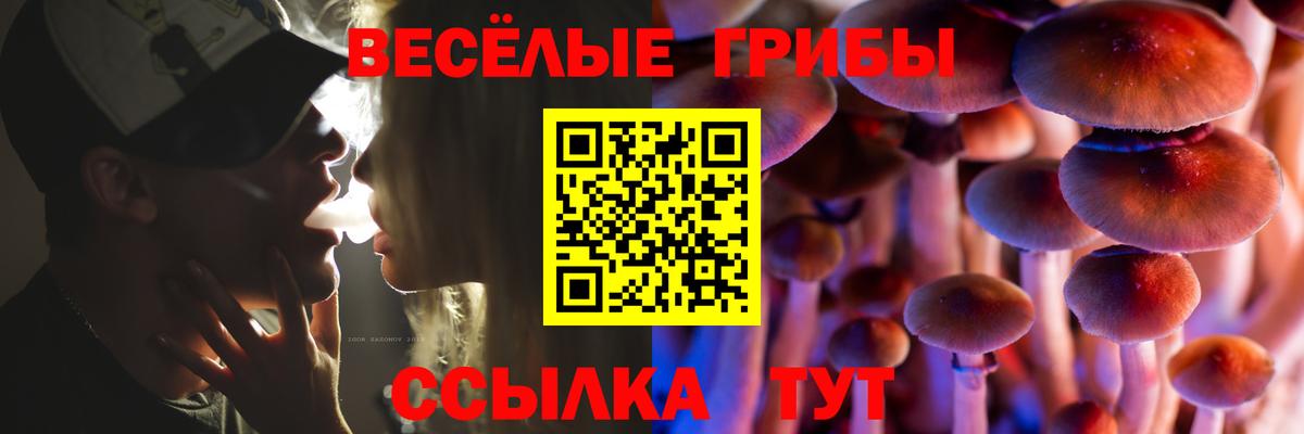 Оренбург  Галлюциногенные грибы ЛСД  Вход с VPN 